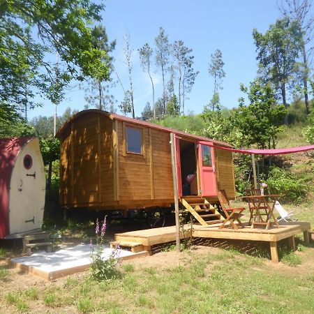 Rosa The Cosy Cabin - Gypsy Wagon - Shepherds Hut, River Views Off-Grid Eco Living Педроган-Гранде Екстер'єр фото