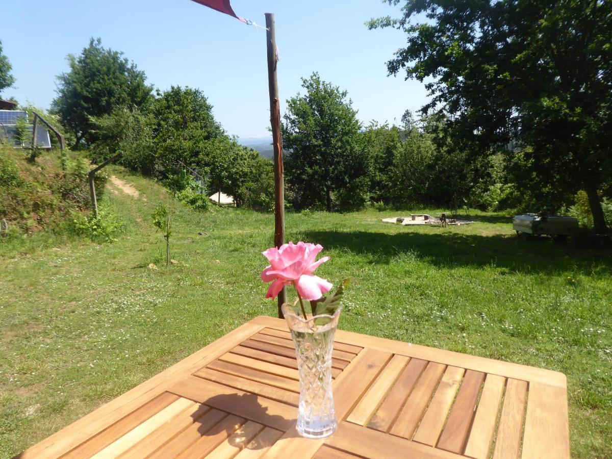Rosa The Cosy Cabin - Gypsy Wagon - Shepherds Hut, River Views Off-Grid Eco Living Педроган-Гранде Екстер'єр фото