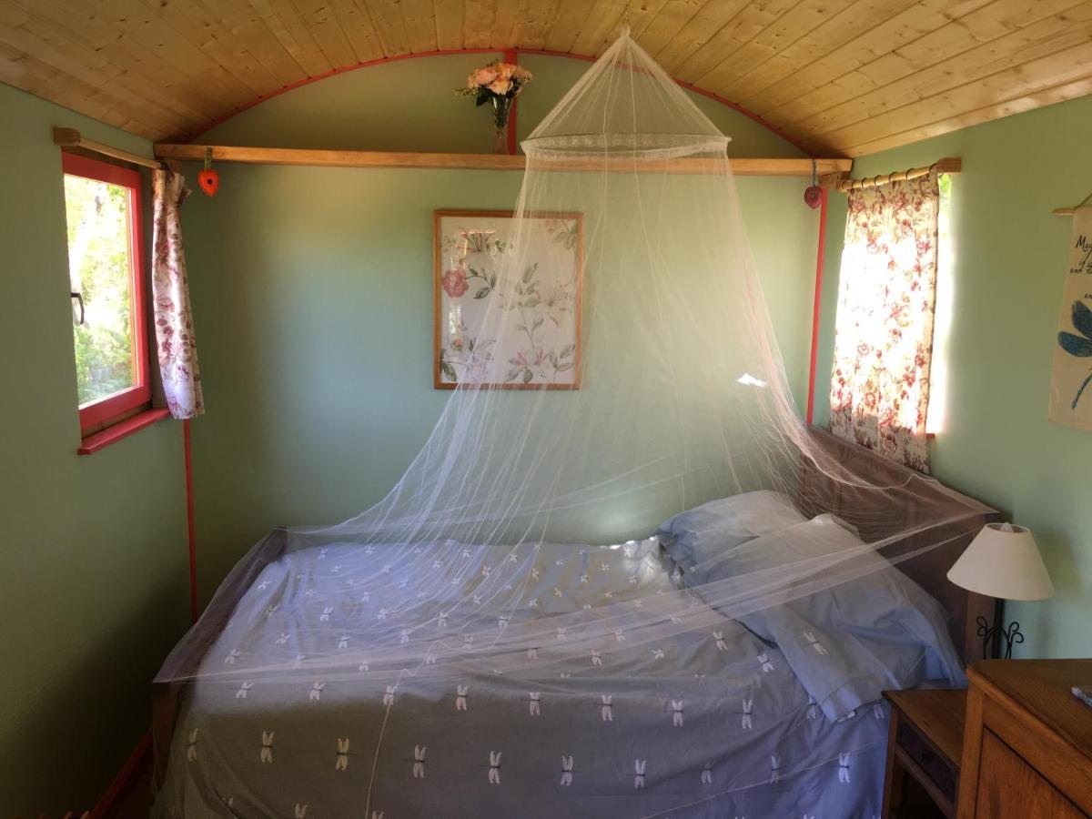 Rosa The Cosy Cabin - Gypsy Wagon - Shepherds Hut, River Views Off-Grid Eco Living Педроган-Гранде Екстер'єр фото
