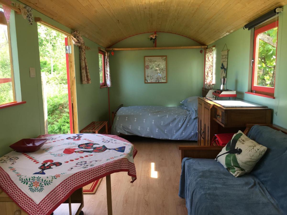 Rosa The Cosy Cabin - Gypsy Wagon - Shepherds Hut, River Views Off-Grid Eco Living Педроган-Гранде Екстер'єр фото